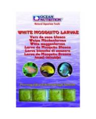 Ocean Nutrition - OC - Vers de vase blanc - Blister - 100g