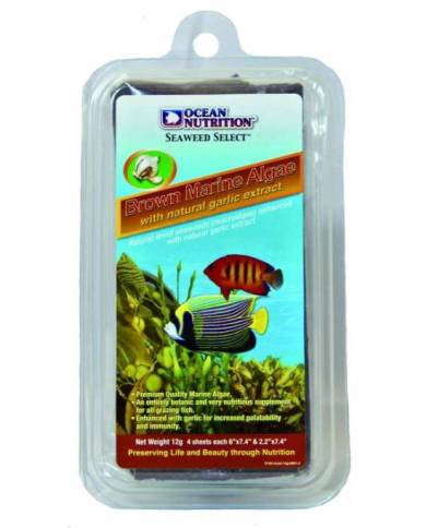 Ocean Nutrition - SEC - Algues marines brunes - 12g