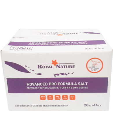 Premium Sea Salt 20 kg. Carton Box 