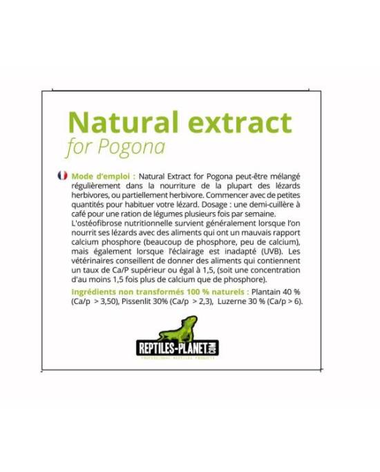 Reptiles Planet - Natural Extract for Pogona - 130g