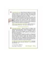 Reptiles Planet - Natural Extract for Pogona - 130g