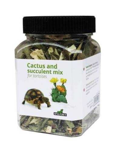 (1) Cactus and succulent mix for tortoises
