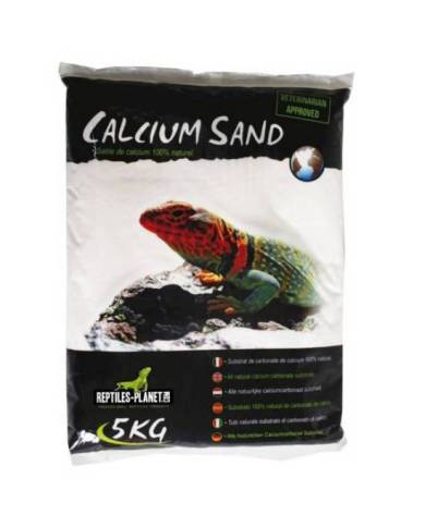 Reptiles Planet - Calcium Sand Sahara Cream - 5kg
