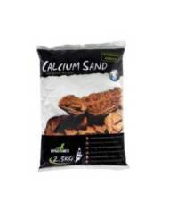 Reptiles Planet - Calcium Sand Sechura Natural - 2.5kg