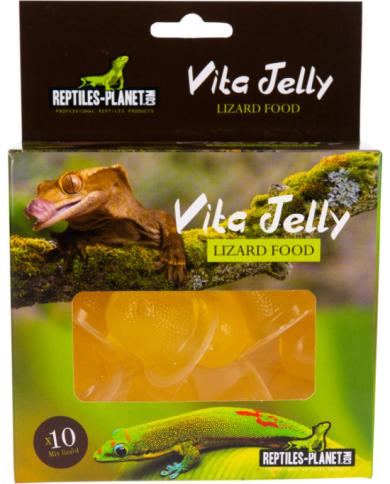 (1) Vita Jelly Banana Lizard 10pcs