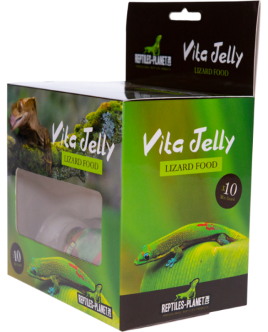 (1) Vita Jelly protein Lizard 10pcs