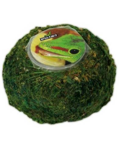 (1) Repti Moss Ball