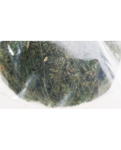 (1) Repti Moss Ball