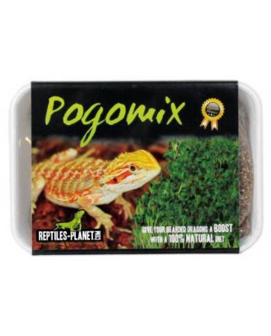 Reptiles Planet - Pogomix - Kit de graines à germer