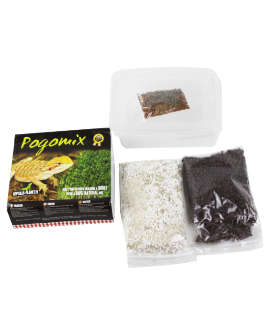 Reptiles Planet - Pogomix - Kit de graines à germer
