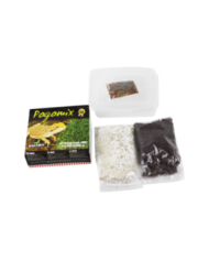 Reptiles Planet - Pogomix - Kit de graines à germer