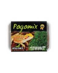 Reptiles Planet - Pogomix - Kit de graines à germer