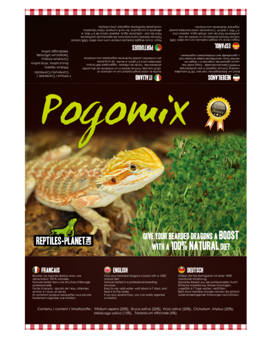 Reptiles Planet - Pogomix - Kit de graines à germer