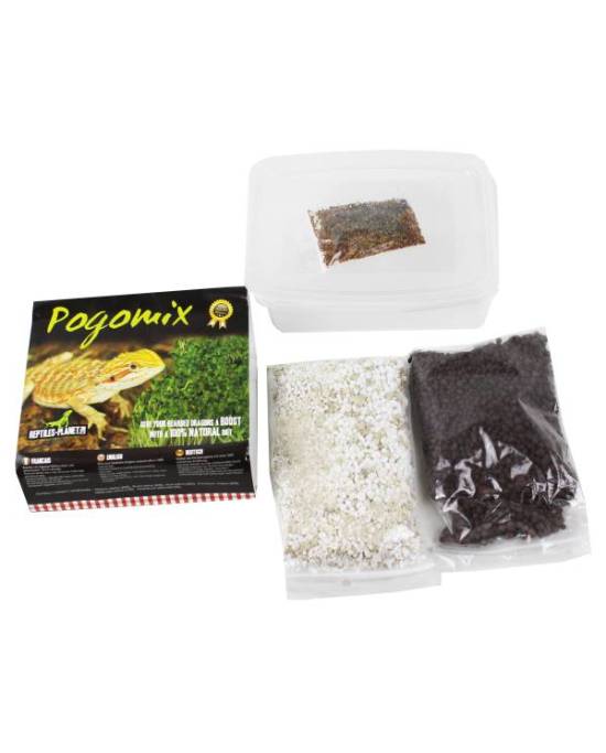Reptiles Planet - Pogomix - Kit de graines à germer