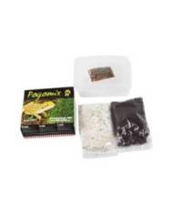 Reptiles Planet - Pogomix - Kit de graines à germer