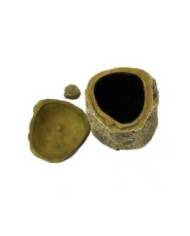 Reptiles Planet - Cricket Feeder - 9x9x10,5 cm