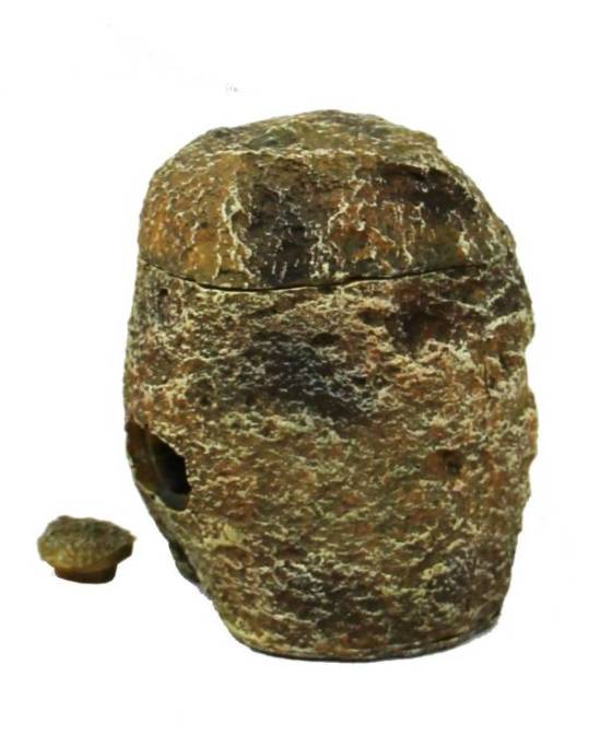 Reptiles Planet - Cricket Feeder - 9x9x10,5 cm