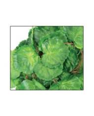 Reptiles Planet - Plante en tissu Serengti Jungle Vine - 2,6 m