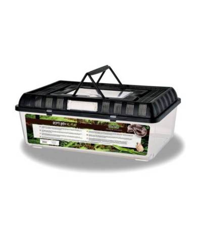 Reptiles Planet - Repti Box XL Flat - 42x26x16 cm