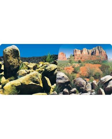 Reptiles Planet - Poster Desert - 2 faces - 0,50x15 m
