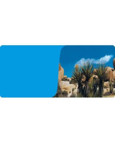 Reptiles Planet - Poster Desert Bleu - 2 faces - 0,60x15 m