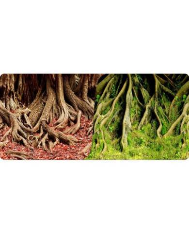 Reptiles Planet - Poster Amazonie Tree Roots - 2 faces - 0,30x15 m