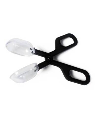 Reptiles Planet - Attrape insecte