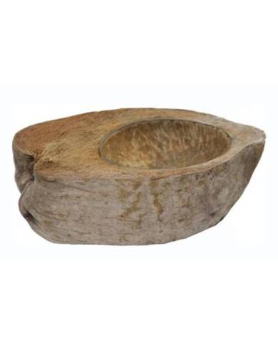 (1) Coco Bowl