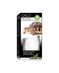 Reptiles Planet - Calci Bone - Os de Seiche