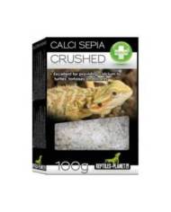 Reptiles Planet - Calci Sepia Crushed - Os de Seiche broyé - 100g