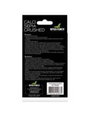 Reptiles Planet - Calci Sepia Crushed - Os de Seiche broyé - 100g