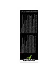 Reptiles Planet - Calci Sepia Crushed - Os de Seiche broyé - 100g