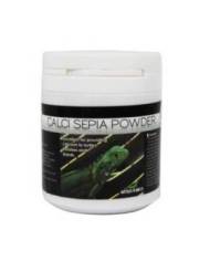 Reptiles Planet - Calci Sepia Powder - Os de Seiche en poudre - 100g