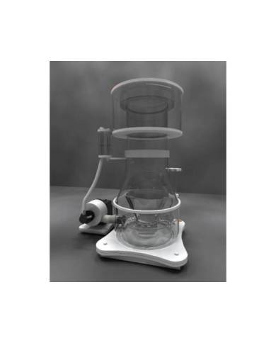 Z - Skimz - Ecumeur Léopard interne SL250 inf. 3500L - Pompe Askoll