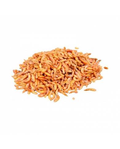 Ocean Nutrition - OCB - Gammarus - 1kg