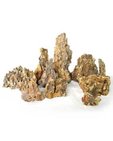 Reptiles Planet - Pierre Canyon S