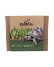 Reptiles Planet - Repti Serre