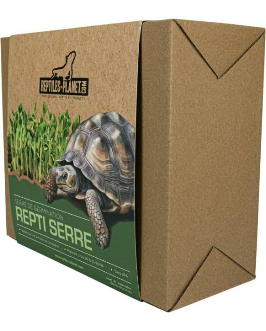 Reptiles Planet - Repti Serre