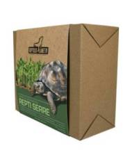 Reptiles Planet - Repti Serre