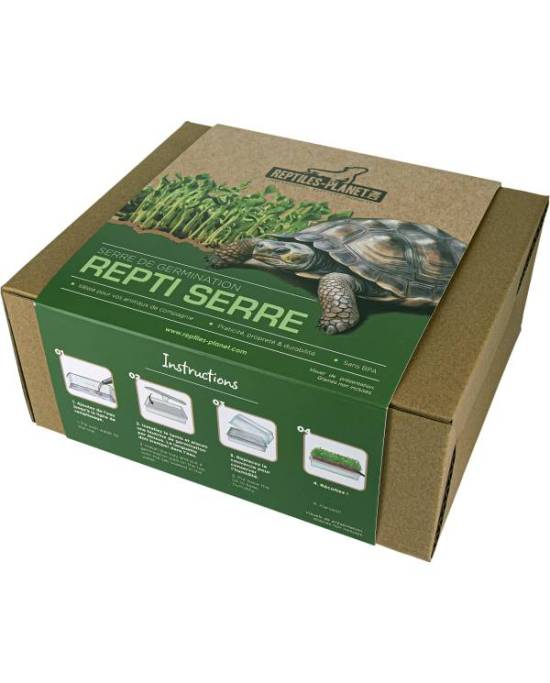 Reptiles Planet - Repti Serre