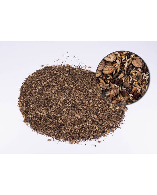 Reptiles Planet - Reptiseeds - graines à germer - 40g