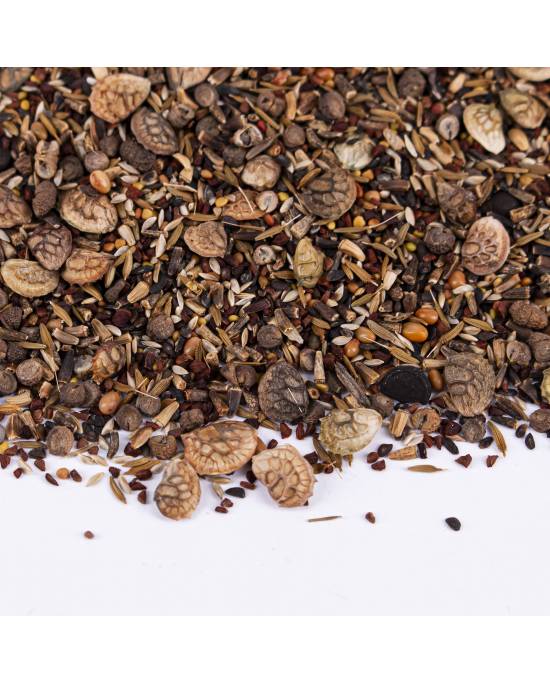 Reptiles Planet - Reptiseeds - graines à germer - 40g