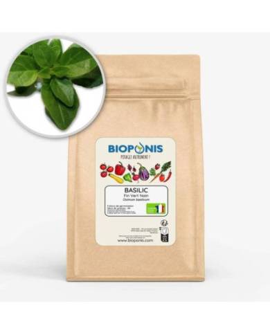 Bioponis - Basilic Fin Vert Nain - 5 pcs