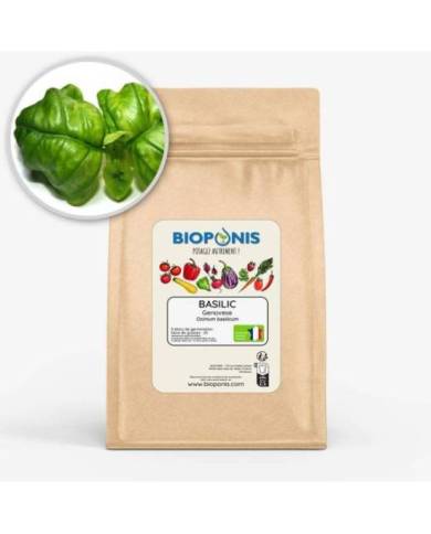 Bioponis - Basilic Genovese - 5 pcs
