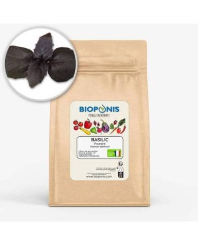 Bioponis - Basilic Pourpre - 5 pcs