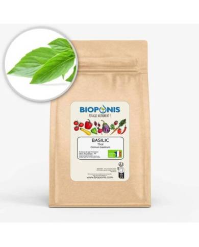 Bioponis - Basilic Thaï - 5 pcs