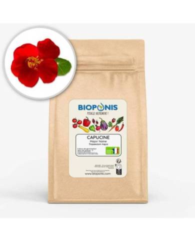 Bioponis - Capucine Major Naine - 5 pcs