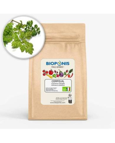 Bioponis - Cerfeuil Commun Simple - 5 pcs