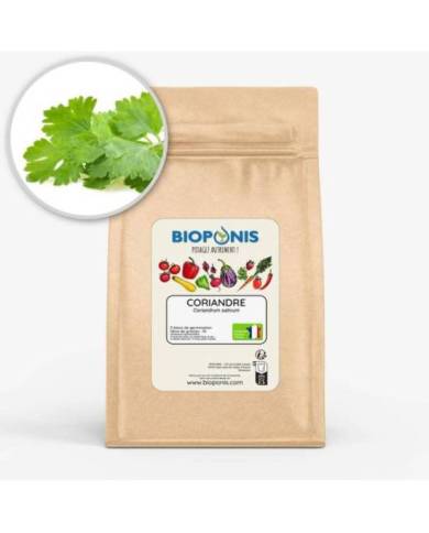 Bioponis - Coriandre - 5 pcs