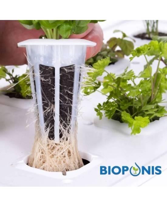 Bioponis - Blocs de germination - 20 pcs
